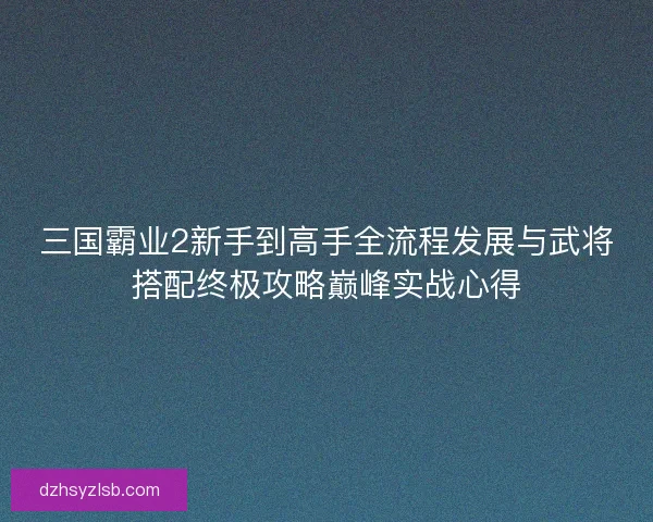 三国霸业2新手到高手全流程发展与武将搭配终极攻略巅峰实战心得
