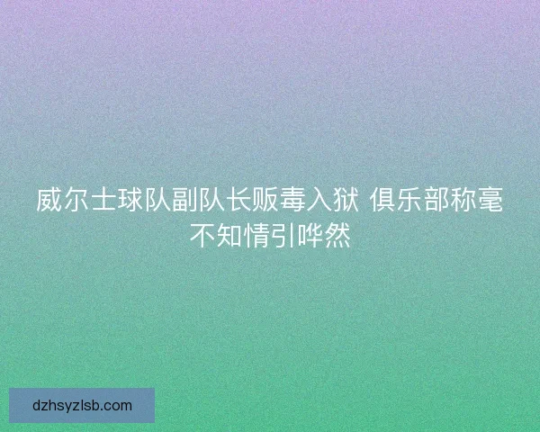 威尔士球队副队长贩毒入狱 俱乐部称毫不知情引哗然